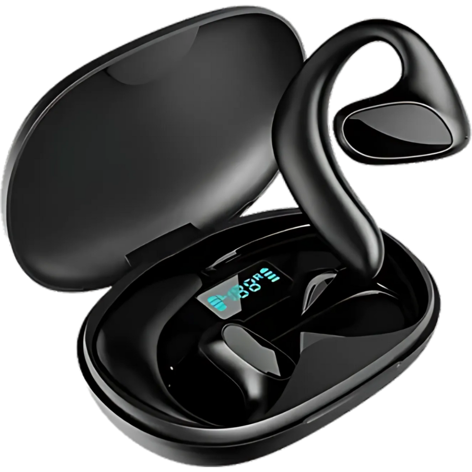 1x TalkBuds